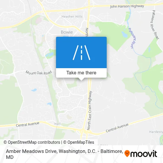 Amber Meadows Drive map