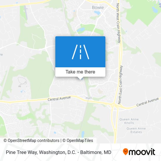 Mapa de Pine Tree Way