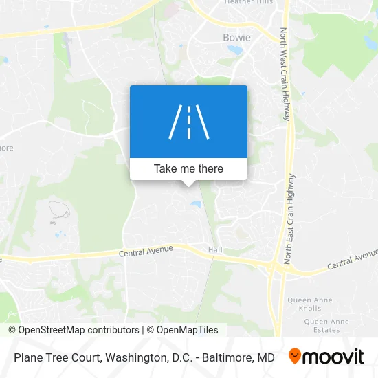 Plane Tree Court map