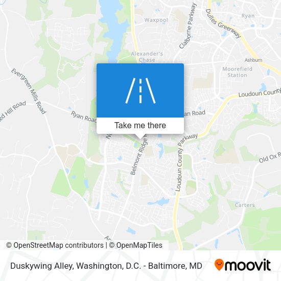 Duskywing Alley map