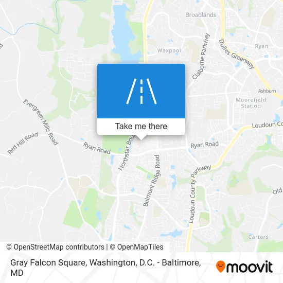 Gray Falcon Square map