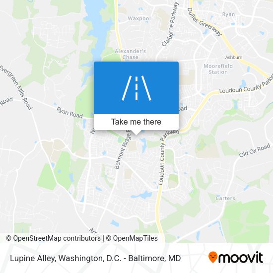 Lupine Alley map