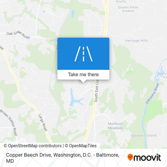 Copper Beech Drive map