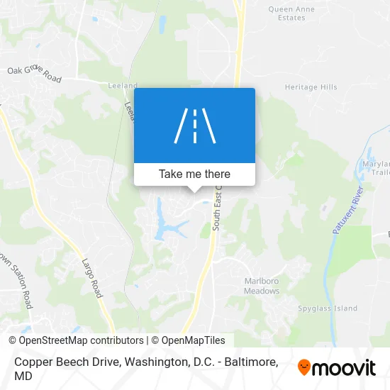 Copper Beech Drive map