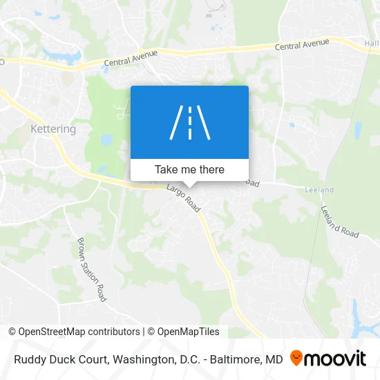 Ruddy Duck Court map