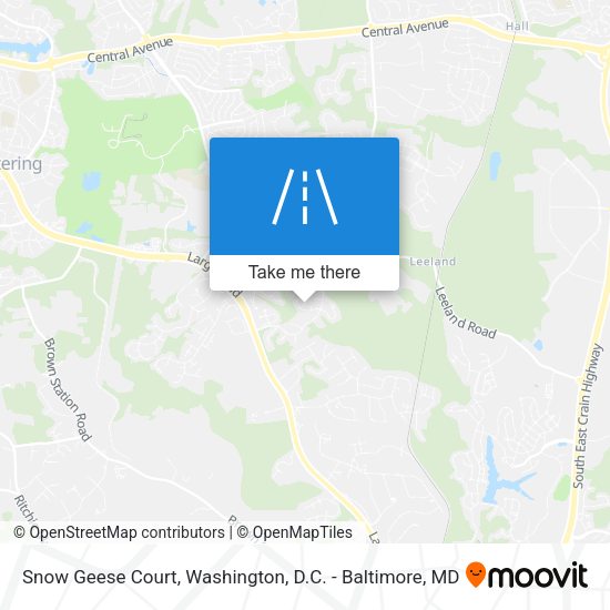 Snow Geese Court map