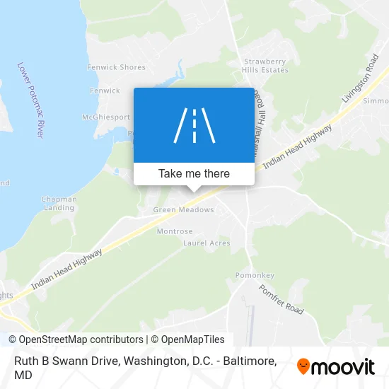Ruth B Swann Drive map