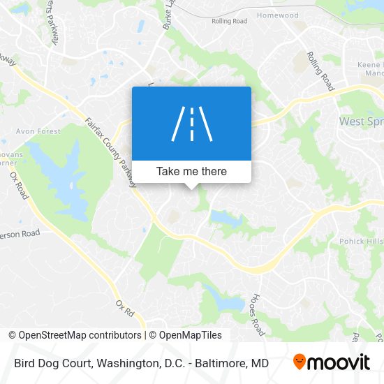 Bird Dog Court map