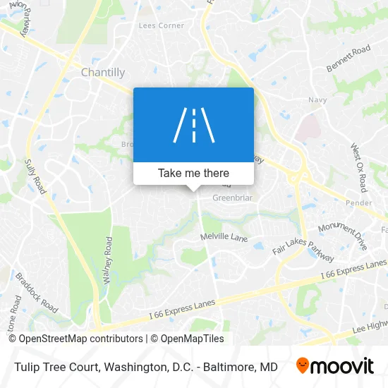 Tulip Tree Court map