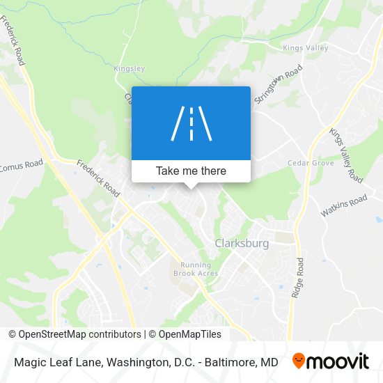 Magic Leaf Lane map