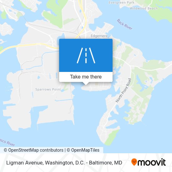 Ligman Avenue map