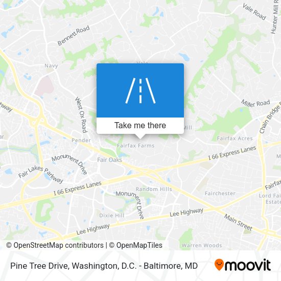 Pine Tree Drive map