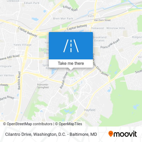 Cilantro Drive map