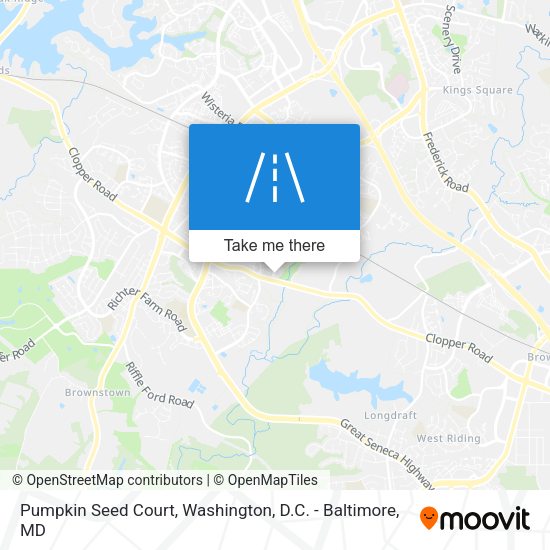 Pumpkin Seed Court map