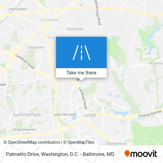 Palmetto Drive map