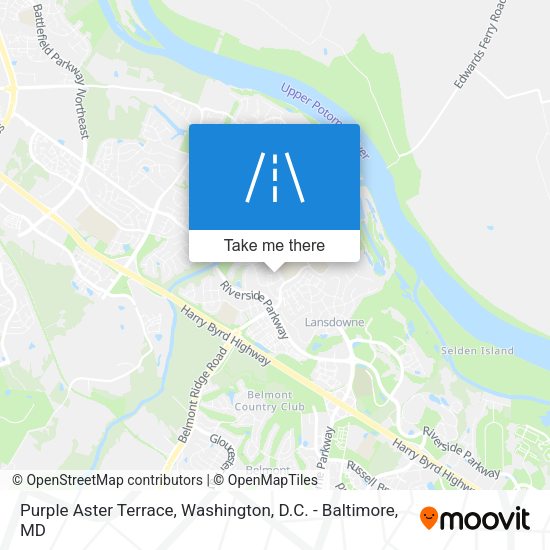 Purple Aster Terrace map