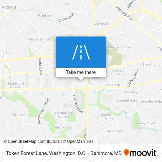 Token Forest Lane map