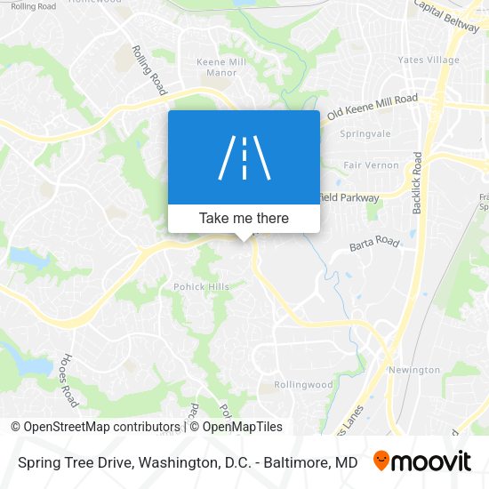 Spring Tree Drive map