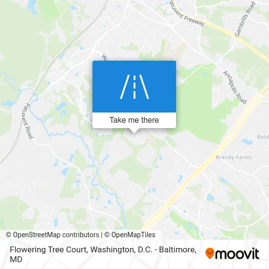 Flowering Tree Court map
