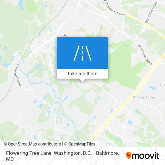Flowering Tree Lane map