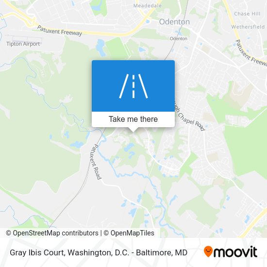 Gray Ibis Court map