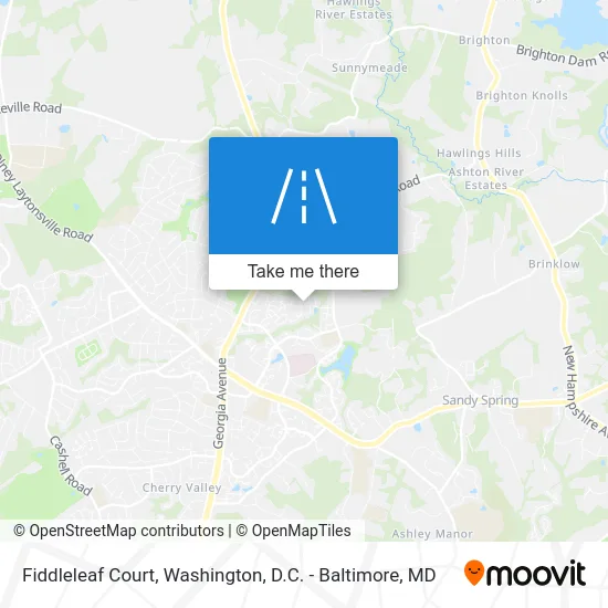 Fiddleleaf Court map