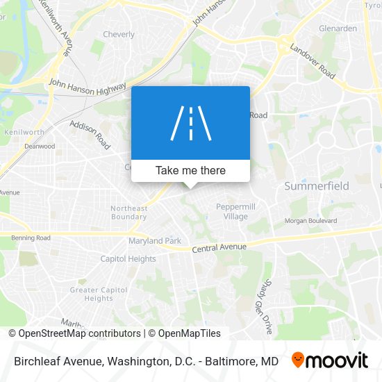 Mapa de Birchleaf Avenue