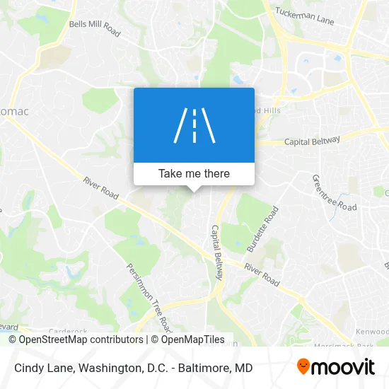 Cindy Lane map