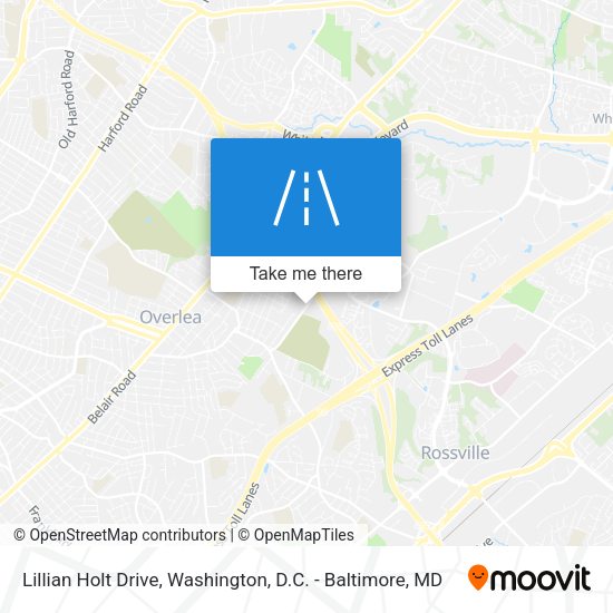 Lillian Holt Drive map