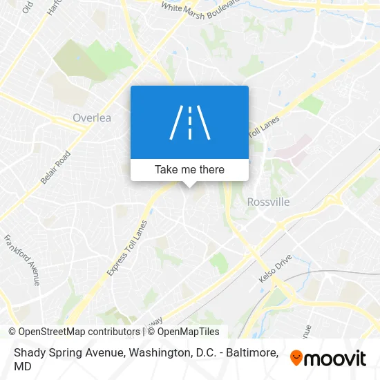 Shady Spring Avenue map
