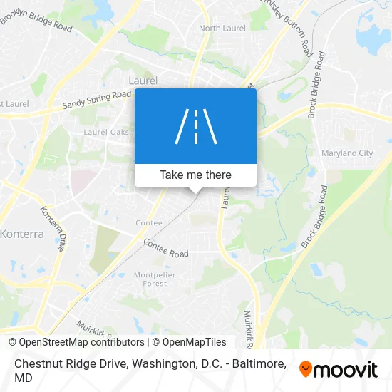 Chestnut Ridge Drive map