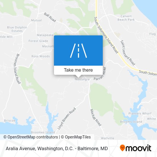 Aralia Avenue map