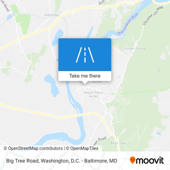 Big Tree Road map