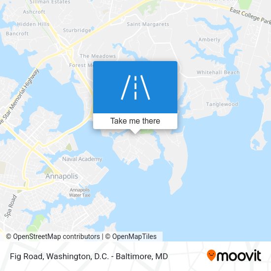 Fig Road map