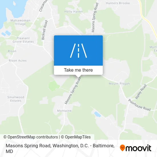 Masons Spring Road map