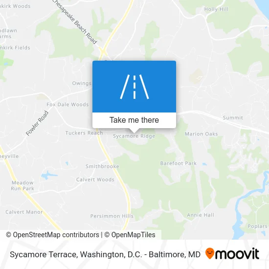 Sycamore Terrace map
