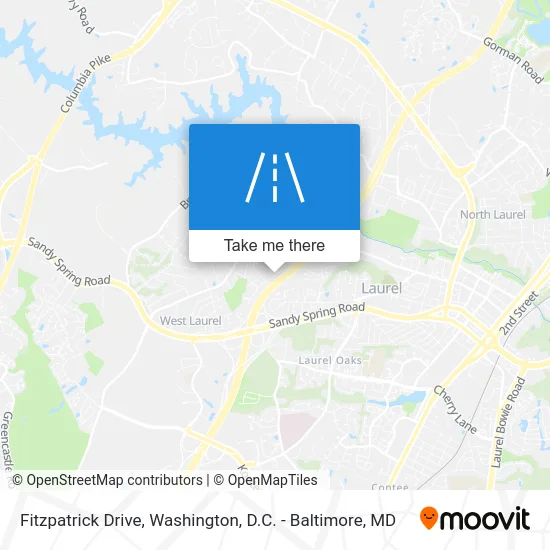 Fitzpatrick Drive map