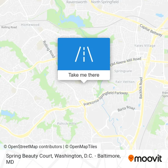 Spring Beauty Court map