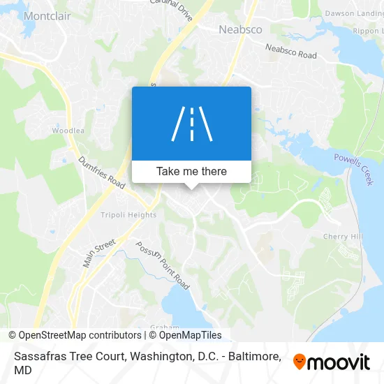 Sassafras Tree Court map