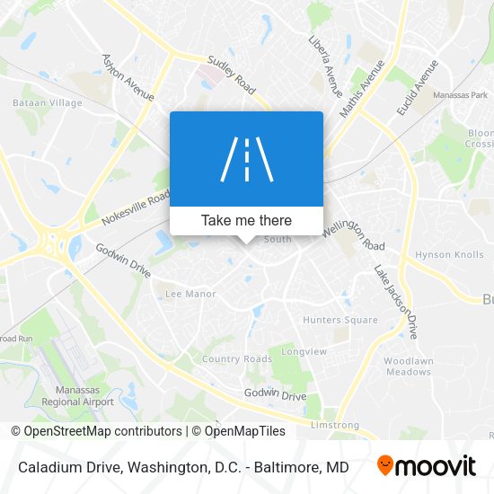 Caladium Drive map