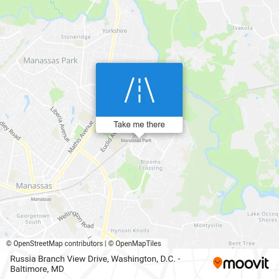 Russia Branch View Drive map