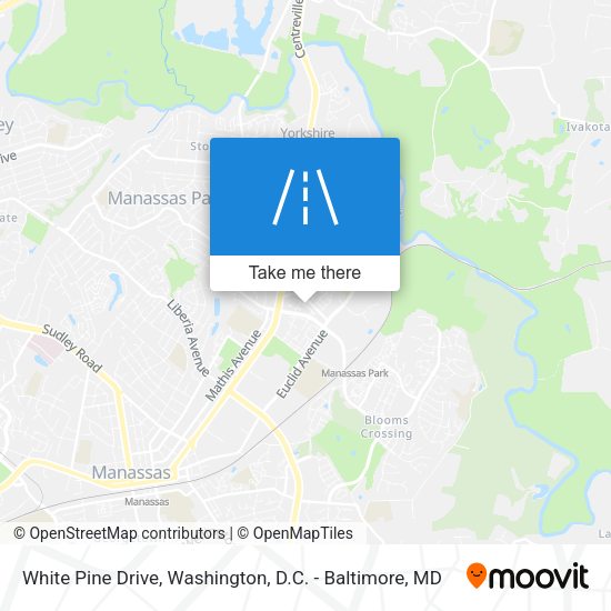 Mapa de White Pine Drive