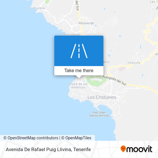 Avenida De Rafael Puig Llivina map