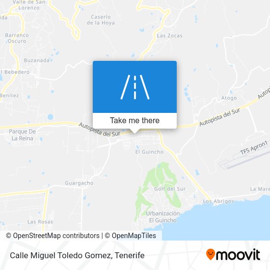Calle Miguel Toledo Gomez map