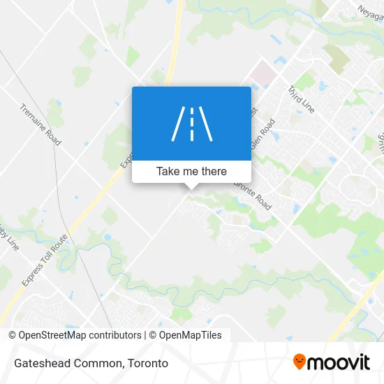 Gateshead Common map