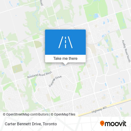 Carter Bennett Drive map