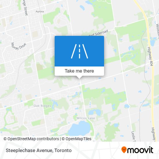 Steeplechase Avenue map
