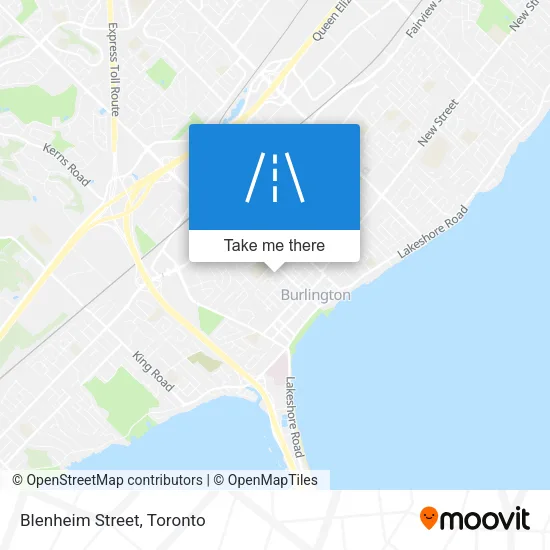 Blenheim Street map