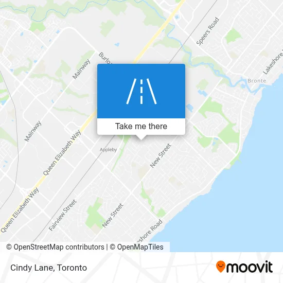 Cindy Lane map