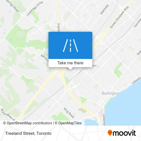 Treeland Street map